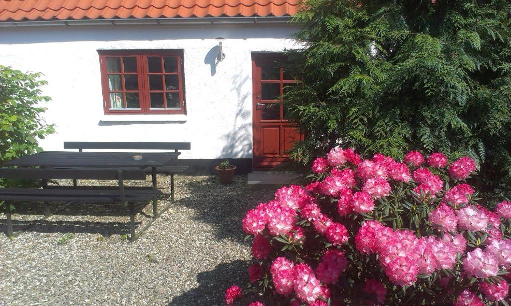 Vranum Guesthouse ヴィボー エクステリア 写真