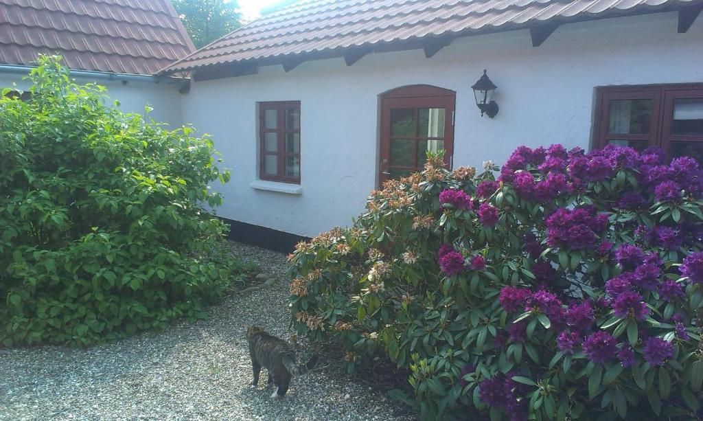 Vranum Guesthouse ヴィボー エクステリア 写真